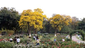 Rose Graden Chandigarh