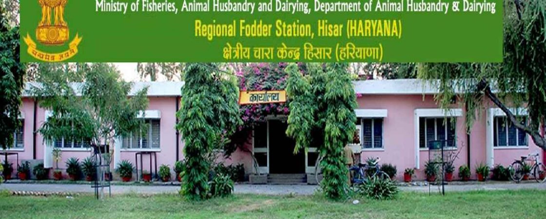 RFS Hisar