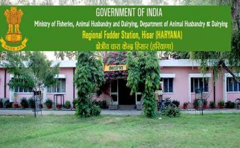 RFS Hisar